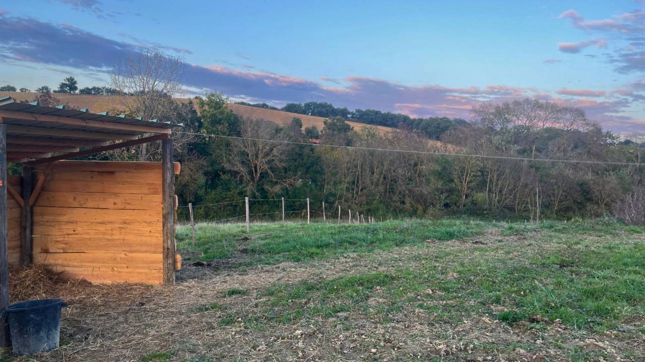 Proprietà equestre In vendita Gers