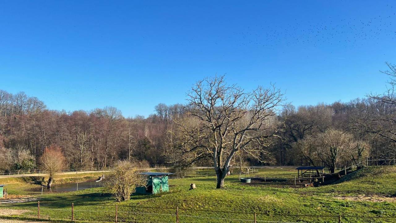 Proprietà equestre In vendita Gironde