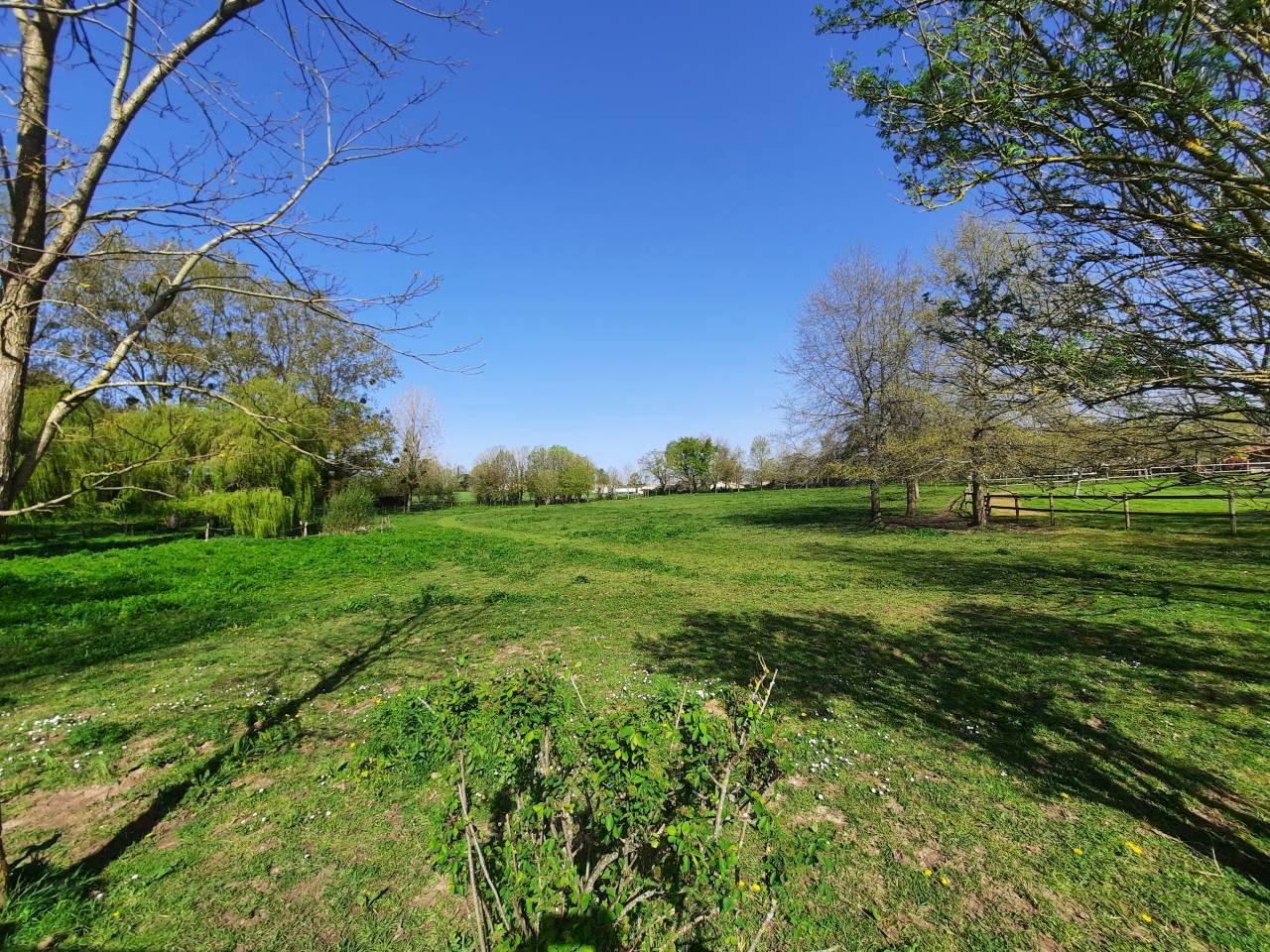 Proprietà equestre In vendita Vendée