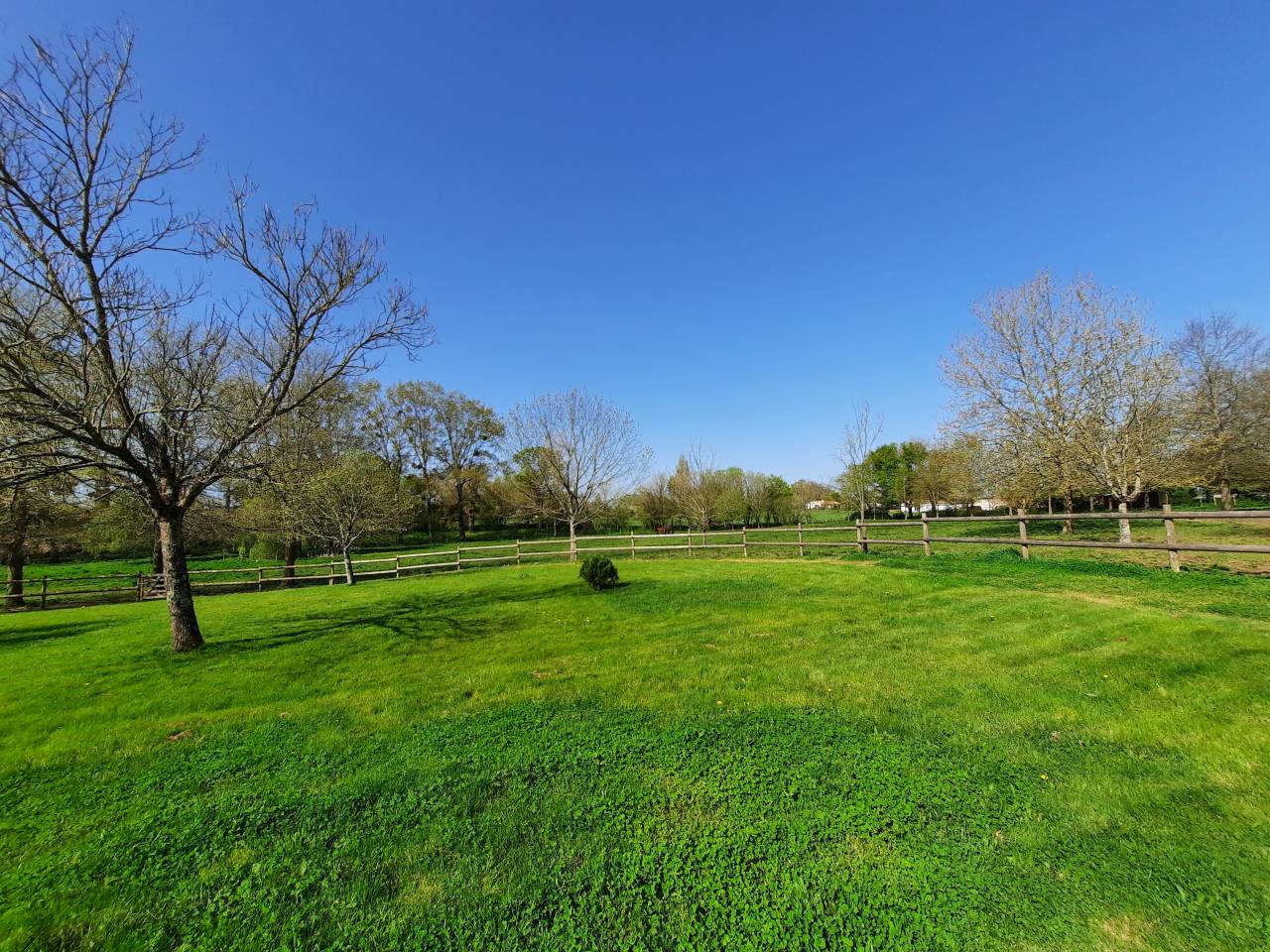 Proprietà equestre In vendita Vendée