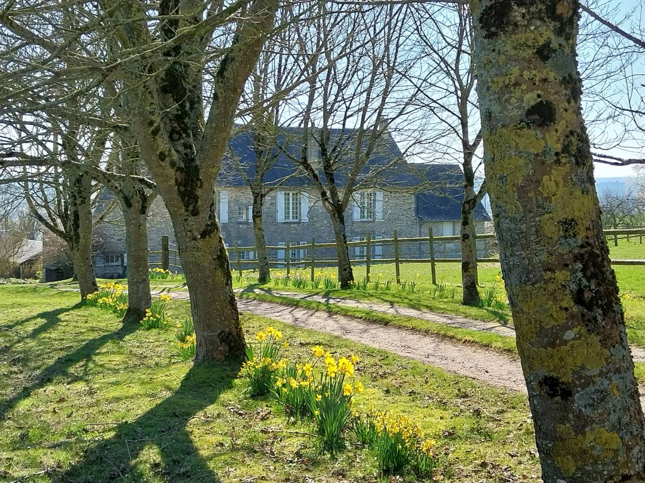 Bella dimora equestre In vendita Calvados