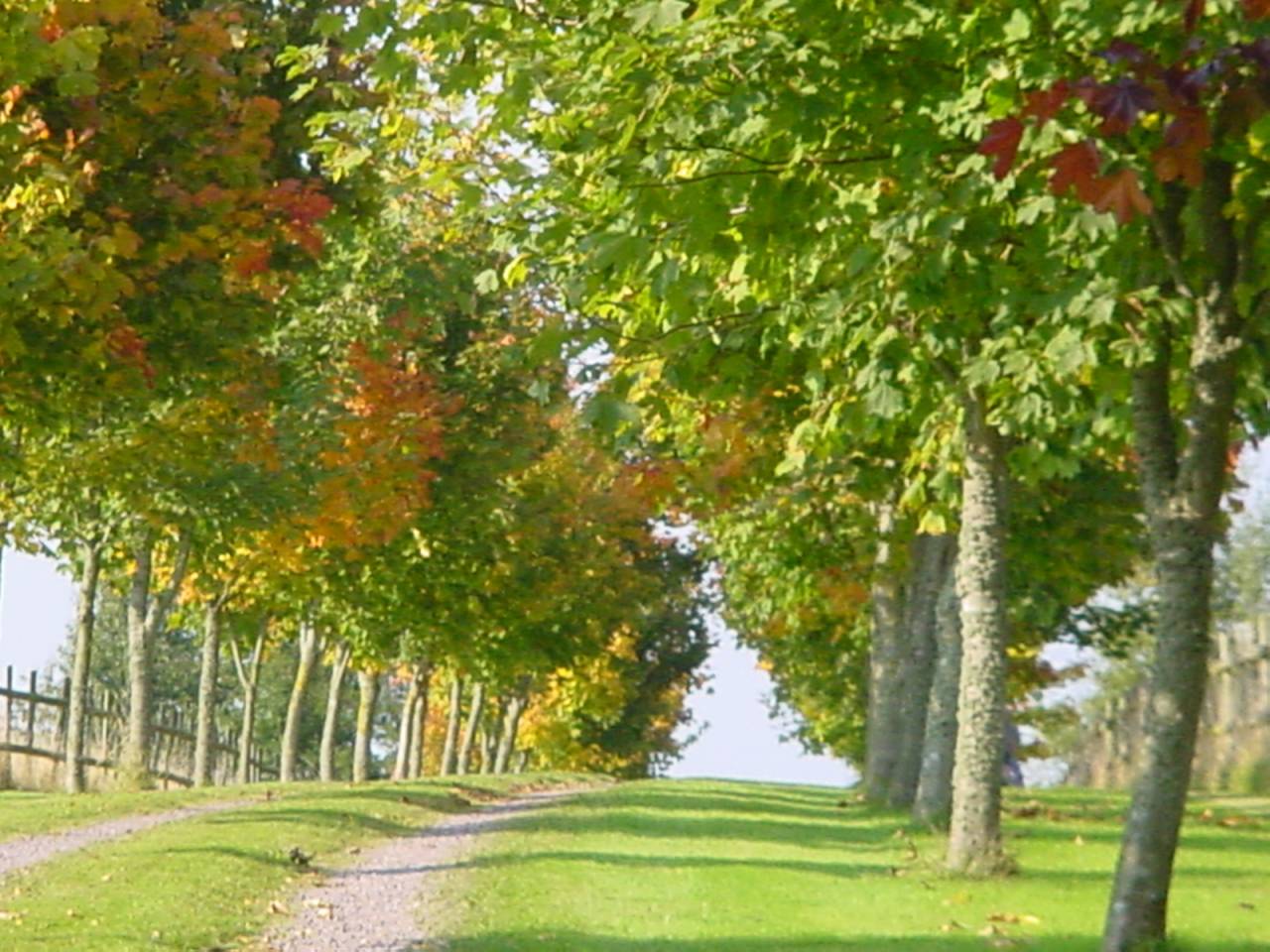 Bella dimora equestre In vendita Calvados