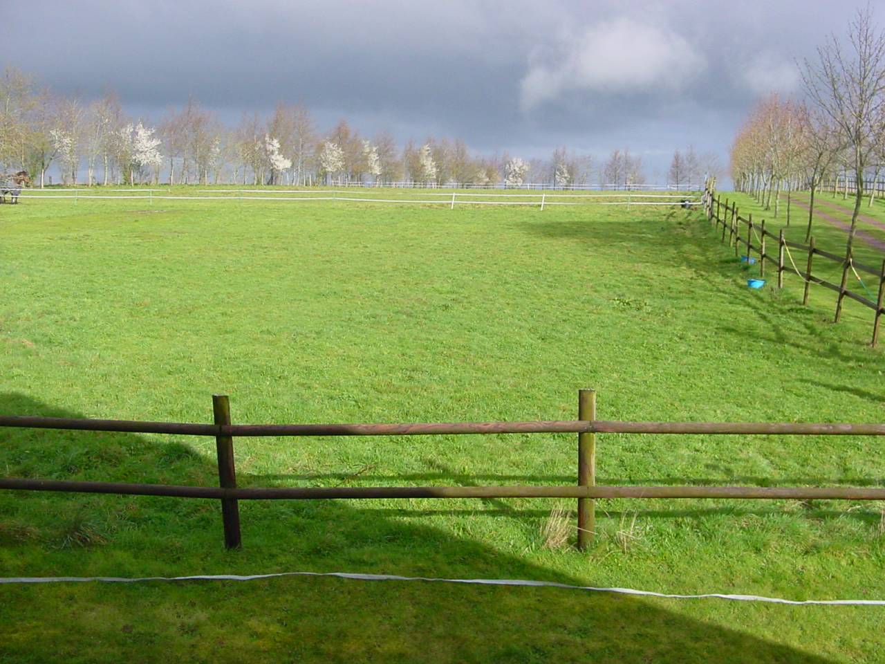 Bella dimora equestre In vendita Calvados