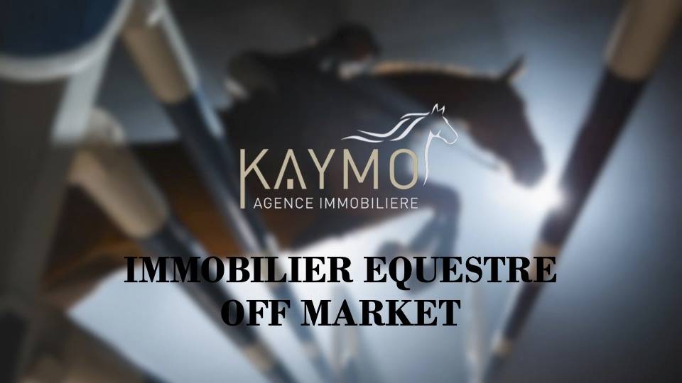 Scuderia per proprietari In vendita Fribourg