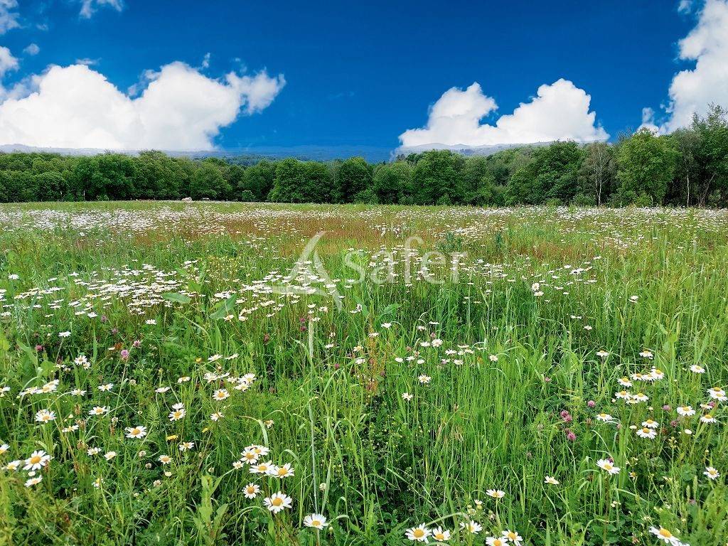 Azienda agricola In vendita Haute-Vienne