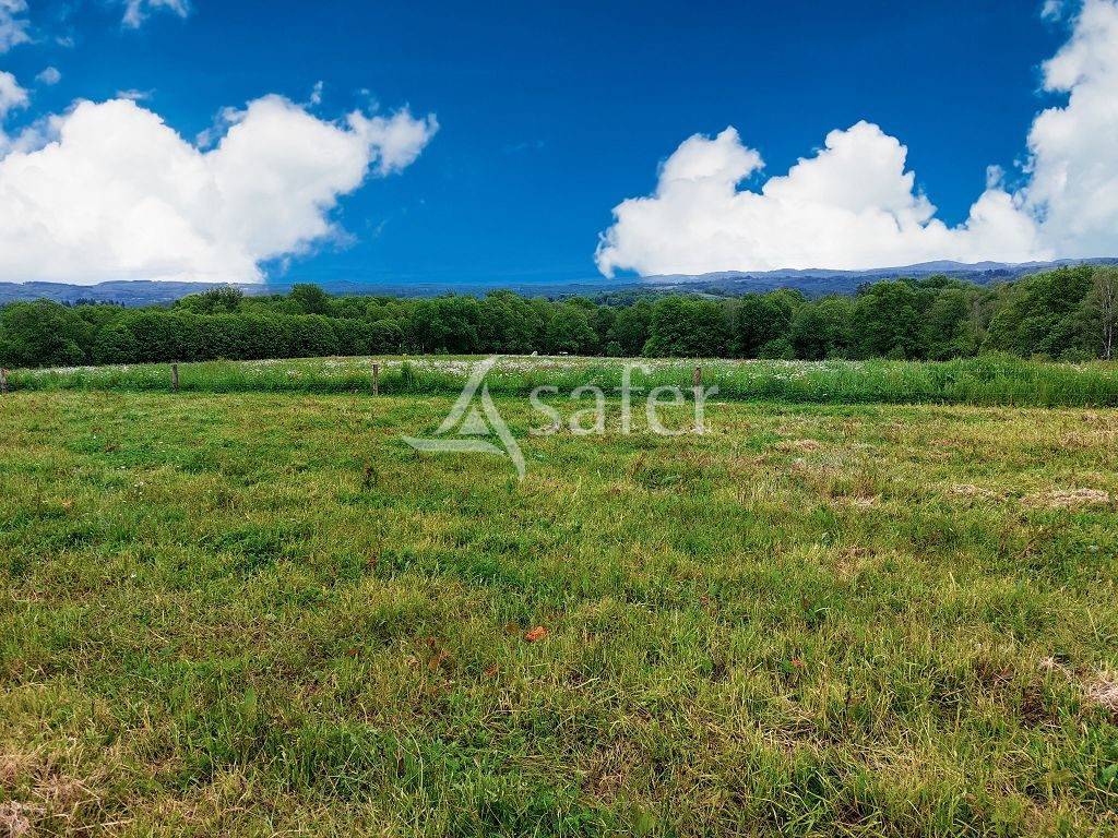 Azienda agricola In vendita Haute-Vienne