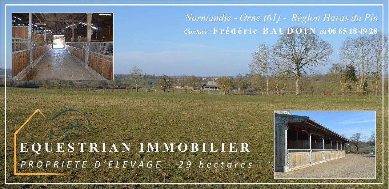 Centro di stagione cavallo In vendita Orne