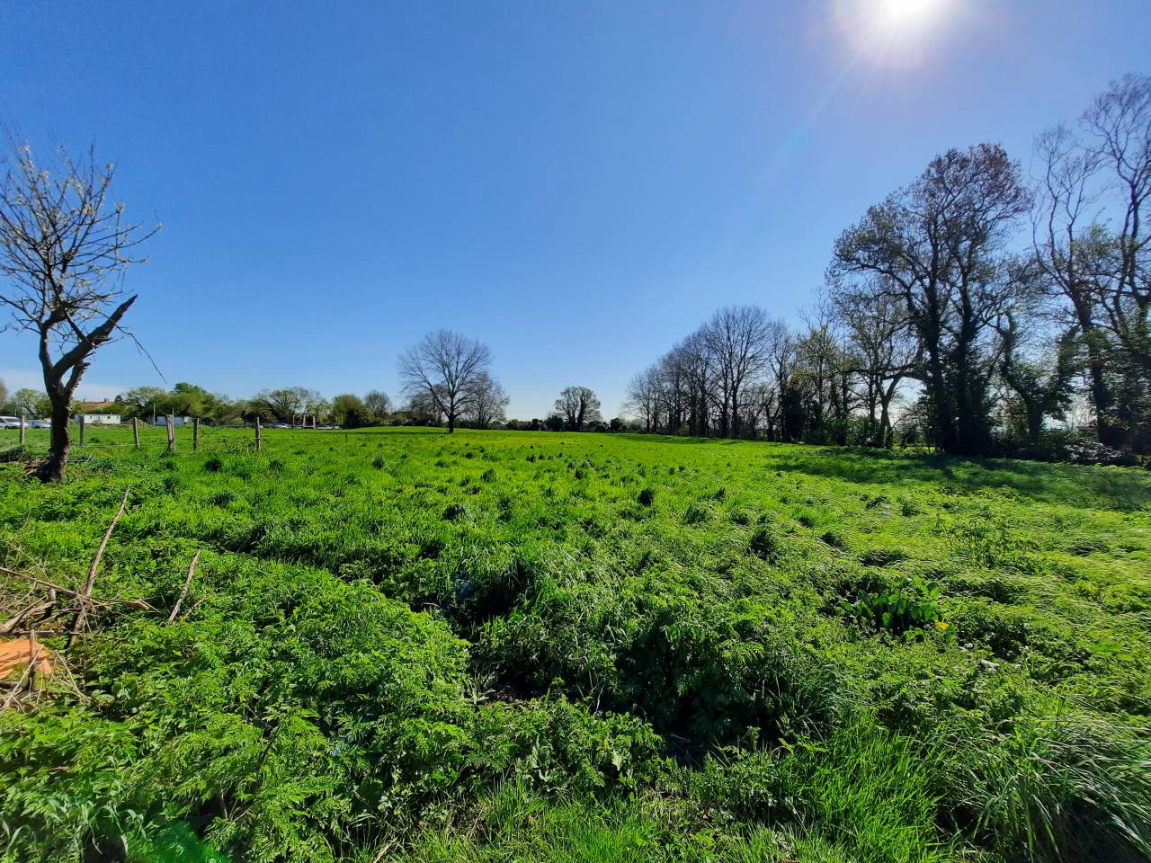 Proprietà equestre In vendita Vendée