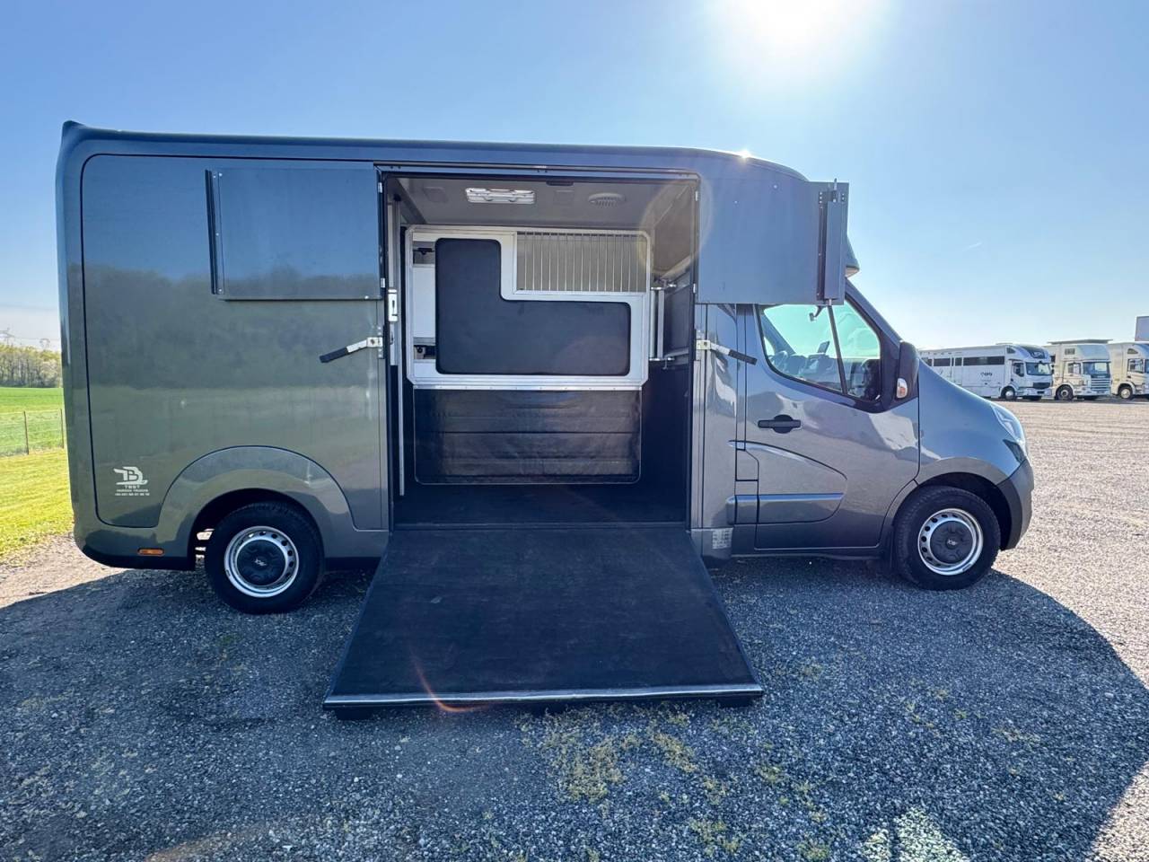 Van per Cavalli AKX Renault 2021 Occasione