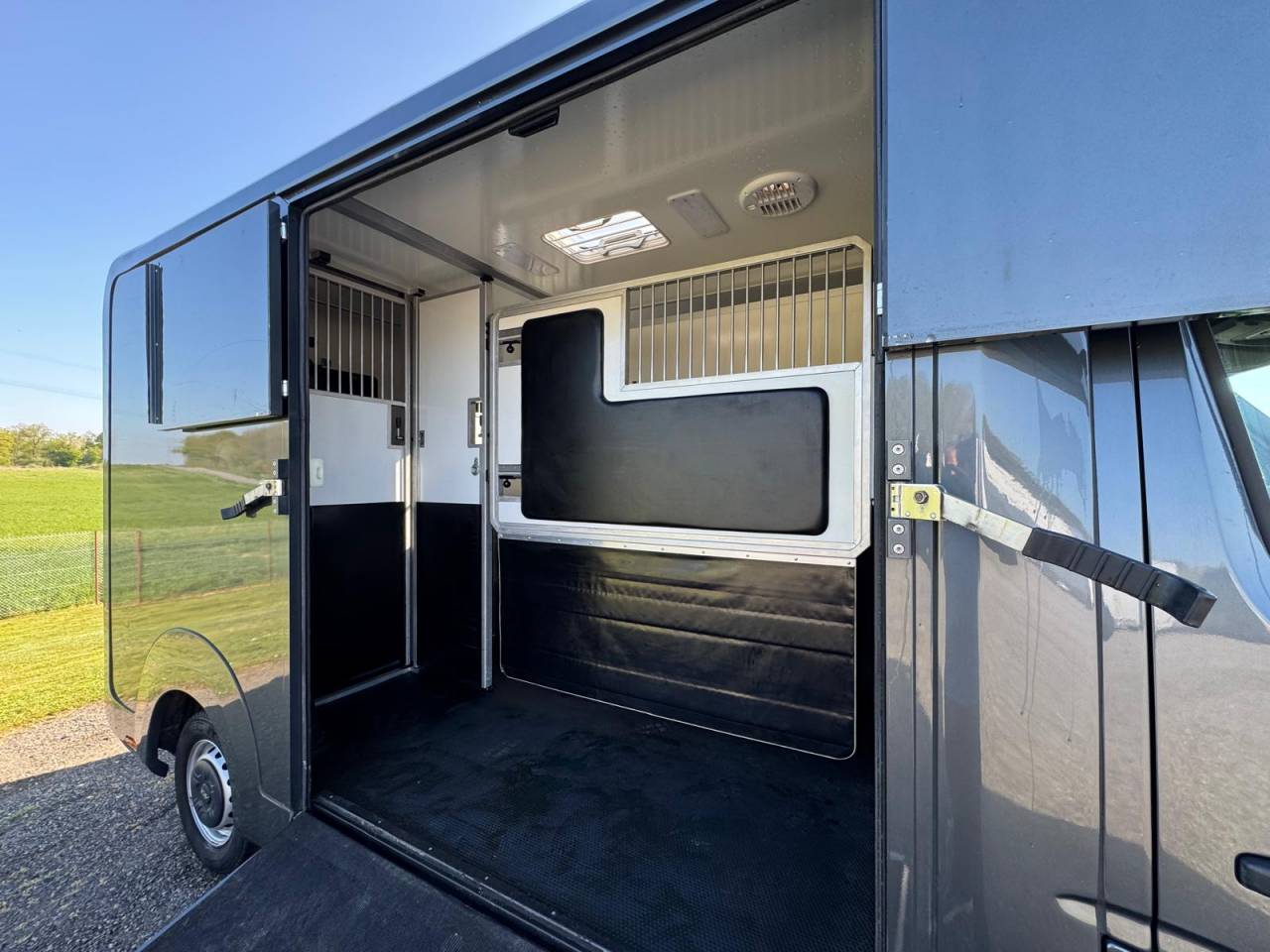 Van per Cavalli AKX Renault 2021 Occasione