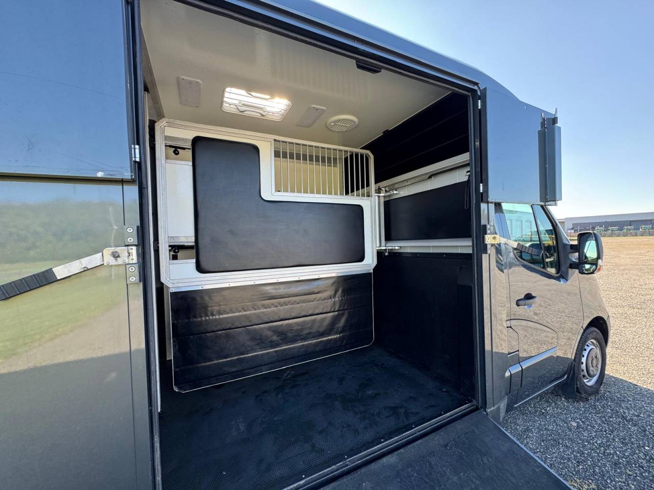 Van per Cavalli AKX Renault 2021 Occasione