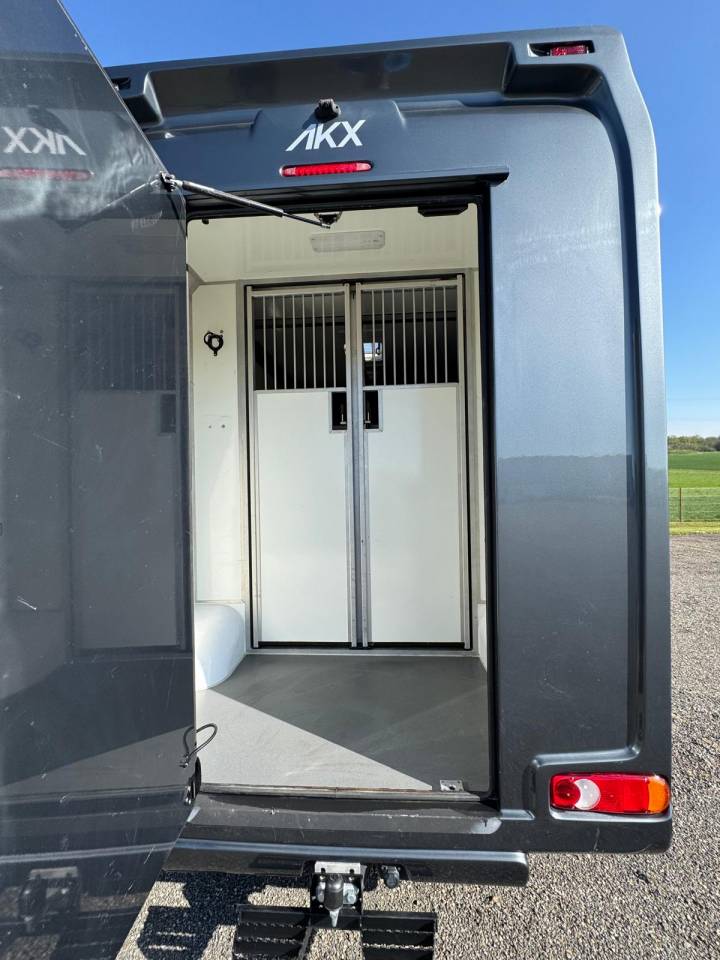 Van per Cavalli AKX Renault 2021 Occasione