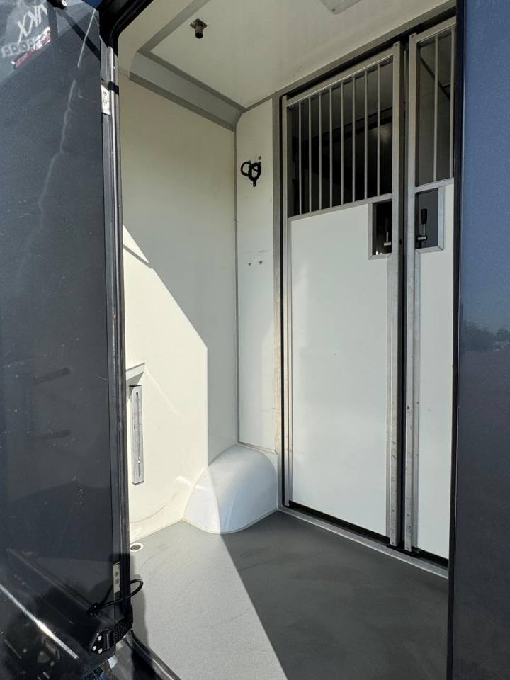 Van per Cavalli AKX Renault 2021 Occasione