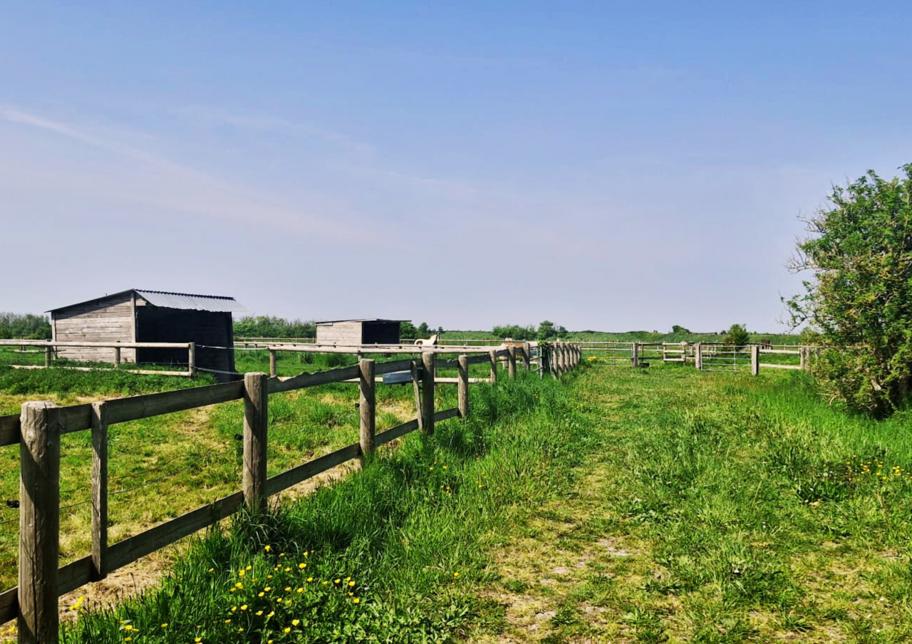 Bella dimora equestre In vendita Ile-et-Vilaine
