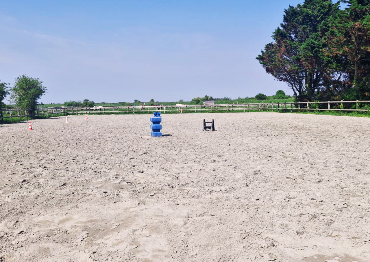 Bella dimora equestre In vendita Ile-et-Vilaine