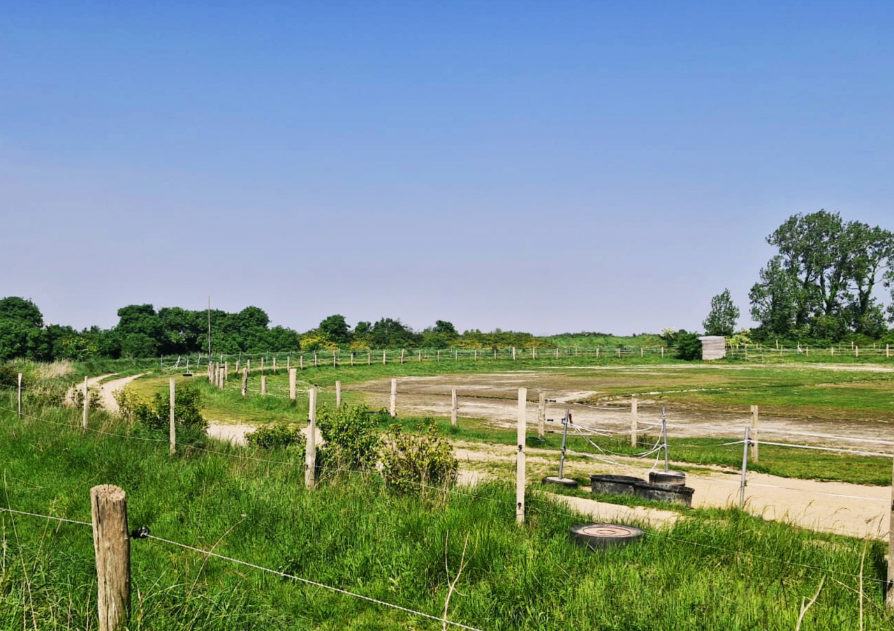 Bella dimora equestre In vendita Ile-et-Vilaine