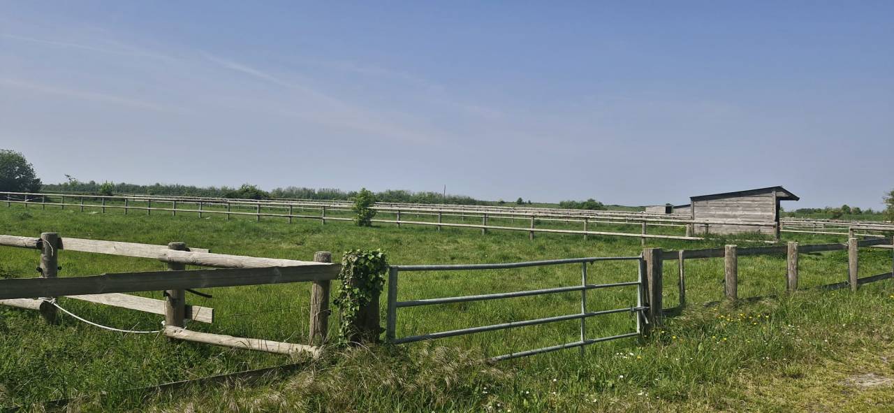 Bella dimora equestre In vendita Ile-et-Vilaine