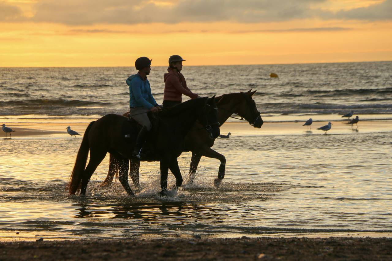 Bella dimora equestre In vendita Ile-et-Vilaine