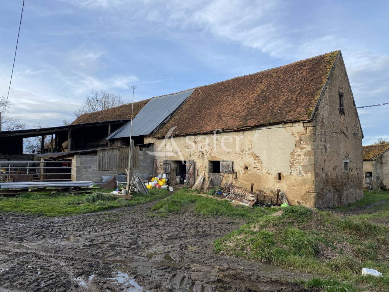 Azienda ovina In vendita Allier