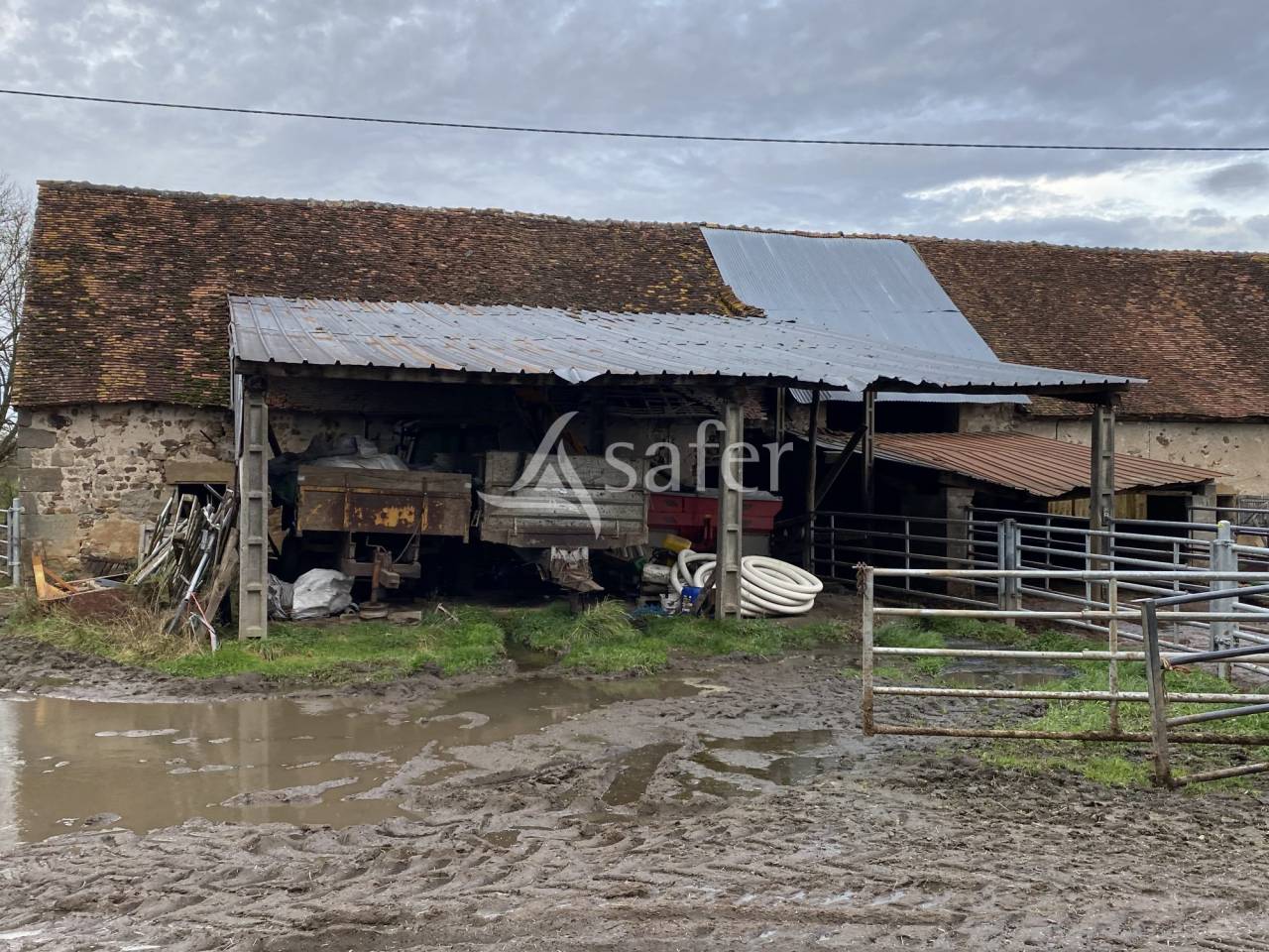 Azienda ovina In vendita Allier