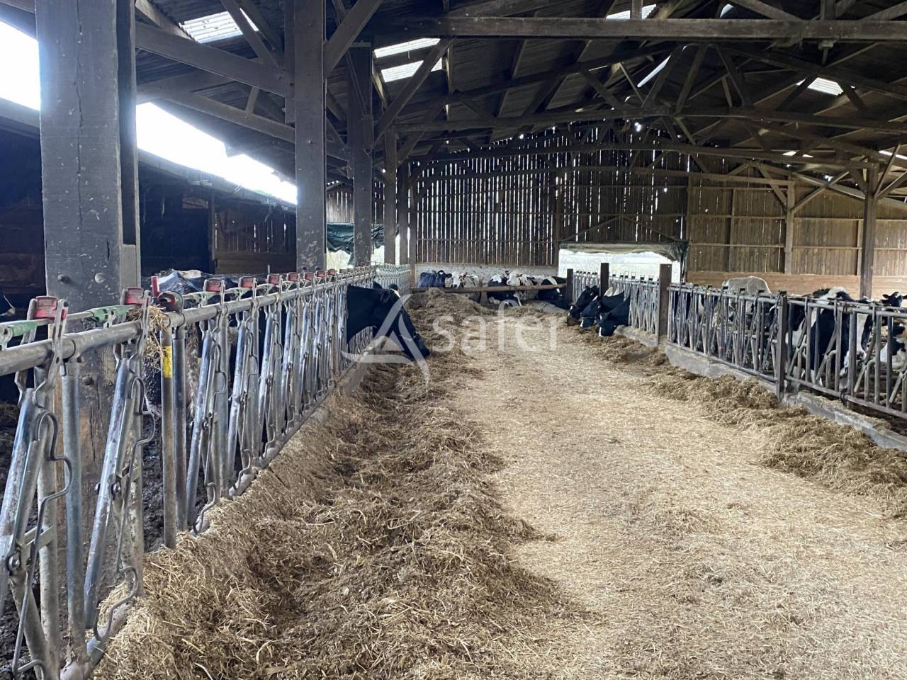 Azienda ovina In vendita Allier