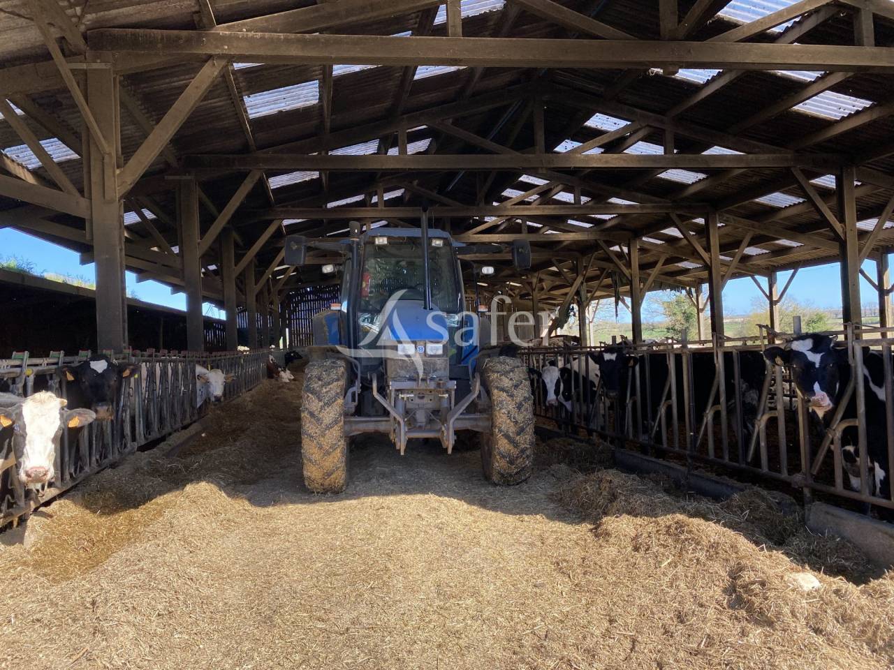 Azienda ovina In vendita Allier