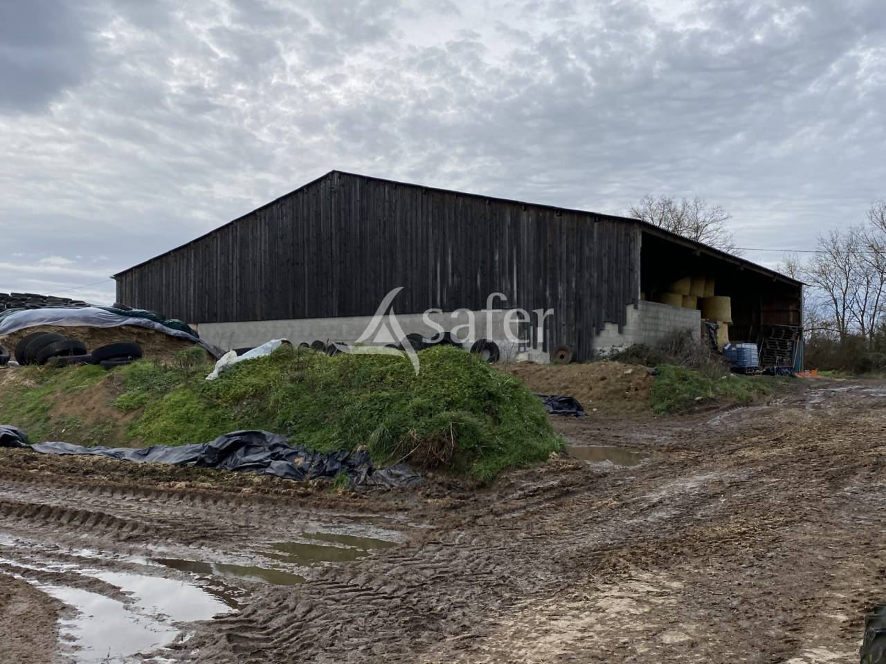 Azienda ovina In vendita Allier