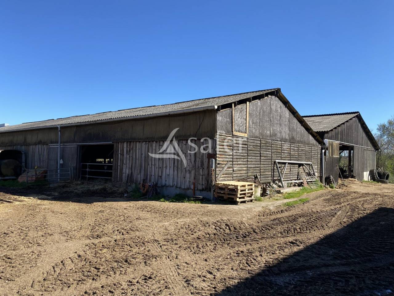 Azienda ovina In vendita Allier