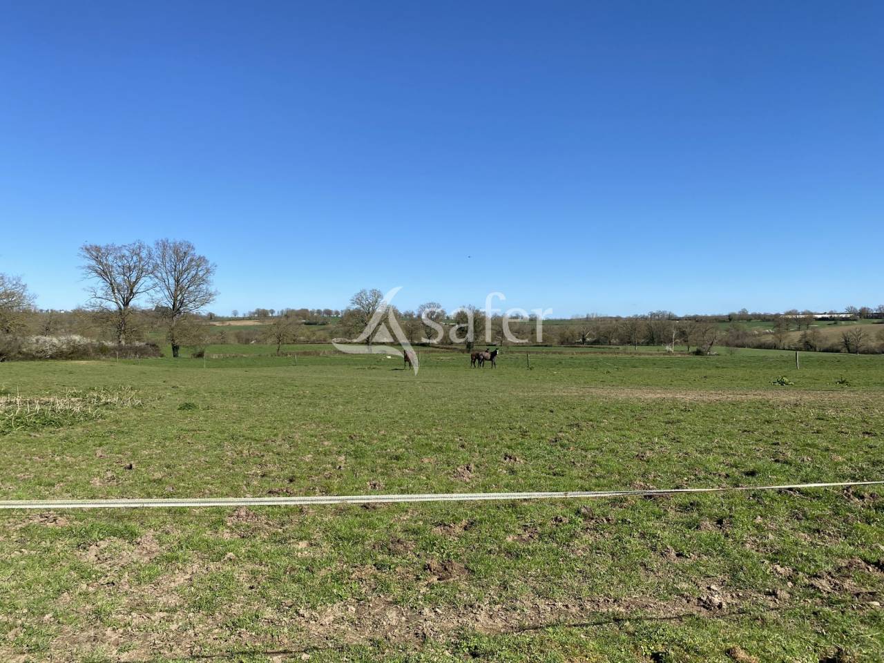 Azienda ovina In vendita Allier