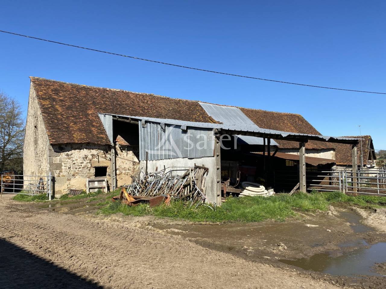 Azienda ovina In vendita Allier