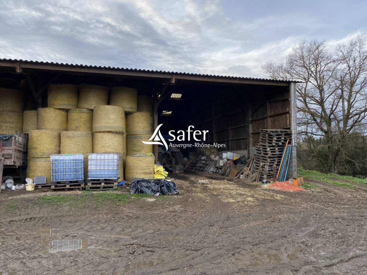 Azienda ovina In vendita Allier