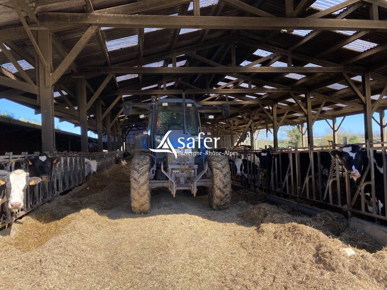 Azienda ovina In vendita Allier