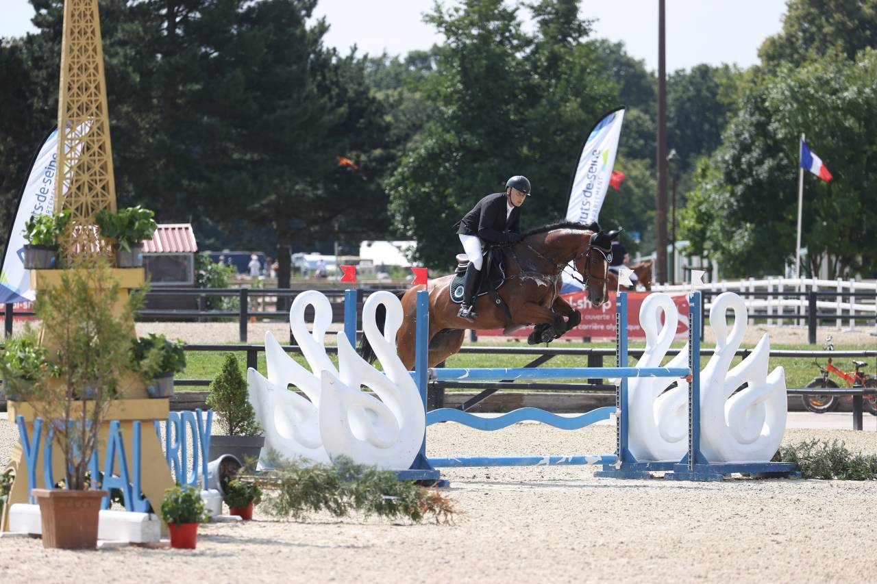 Castrone Zangersheide In vendita 2016 Baio ,  CROWN Z