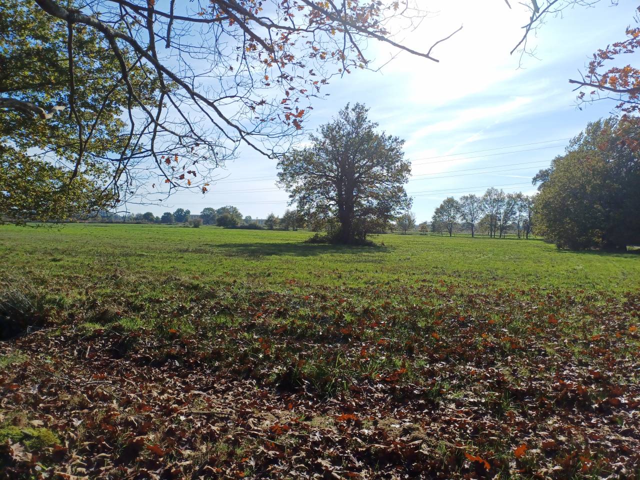 Proprietà equestre In vendita Dordogne