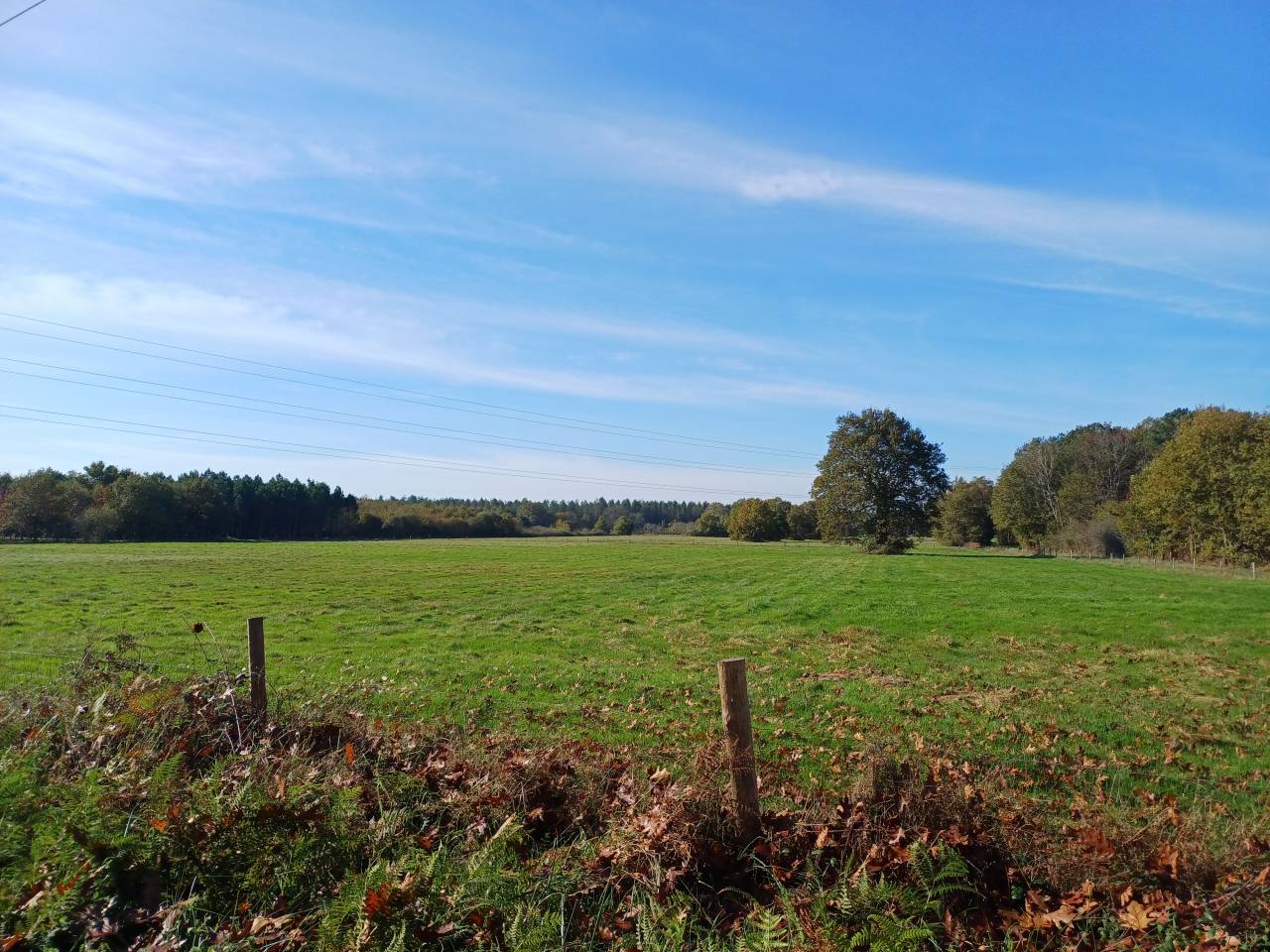 Proprietà equestre In vendita Dordogne