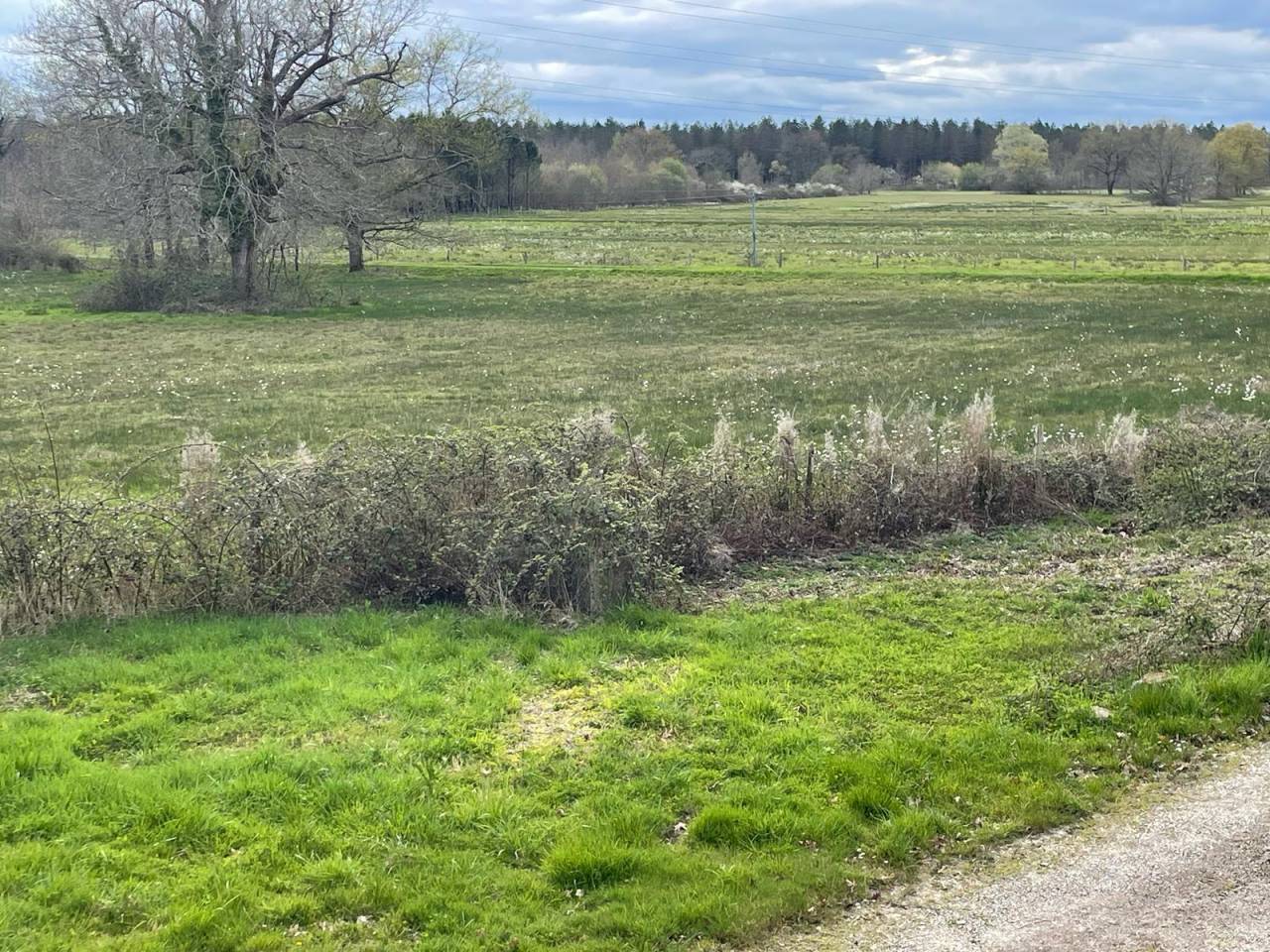 Proprietà equestre In vendita Dordogne