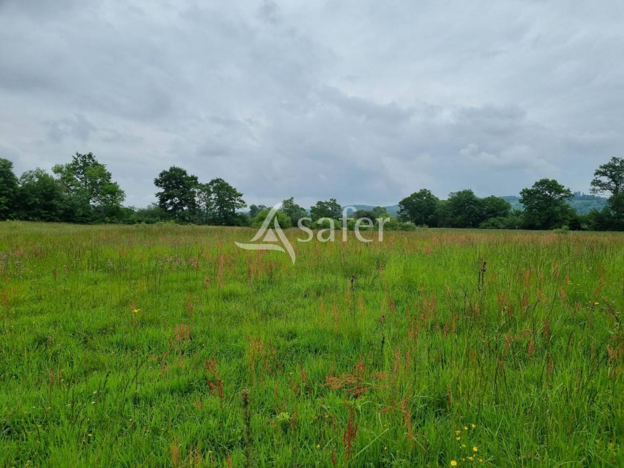 Proprietà rurale In vendita Hautes-Pyrénées
