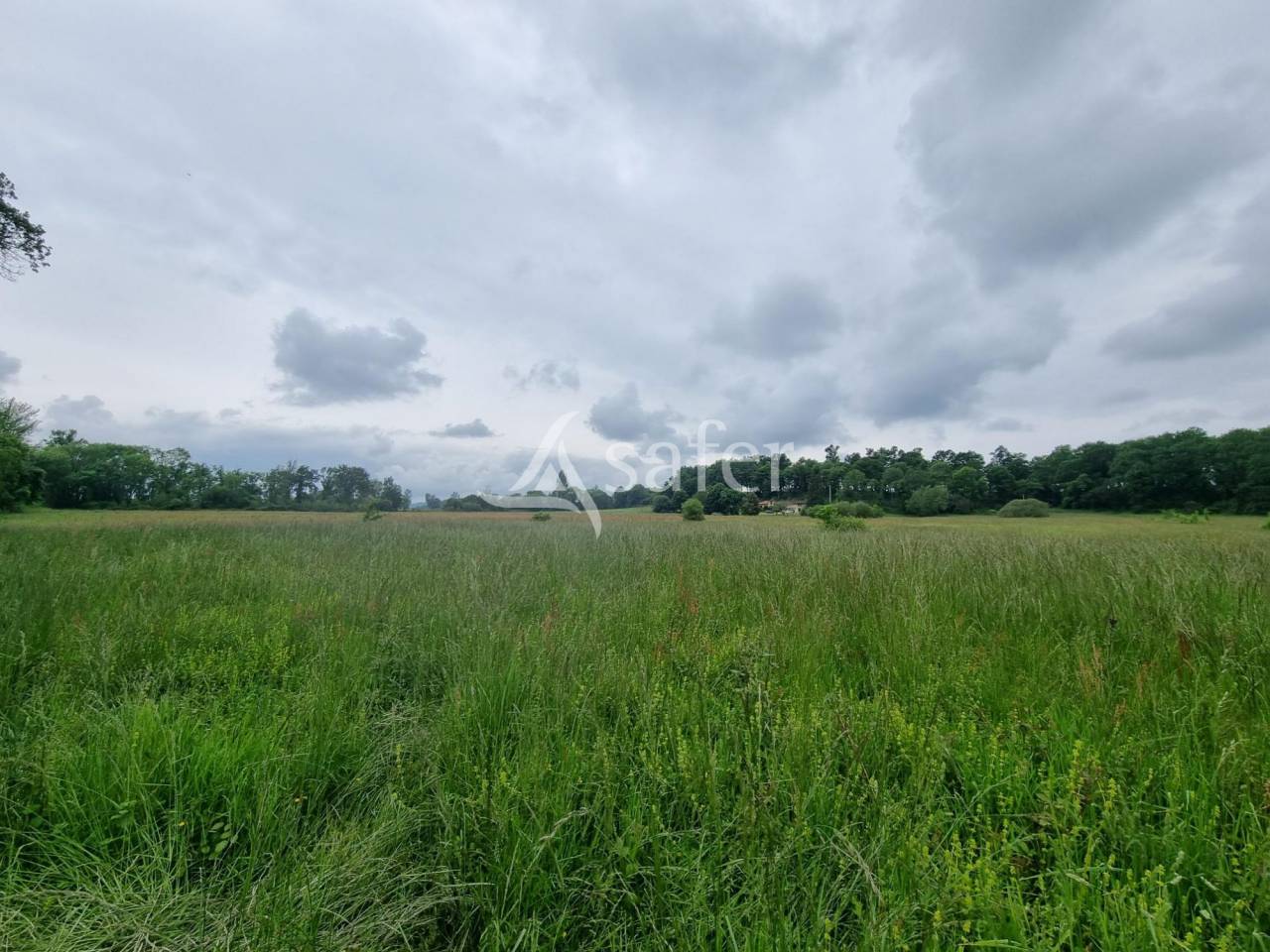 Proprietà rurale In vendita Hautes-Pyrénées