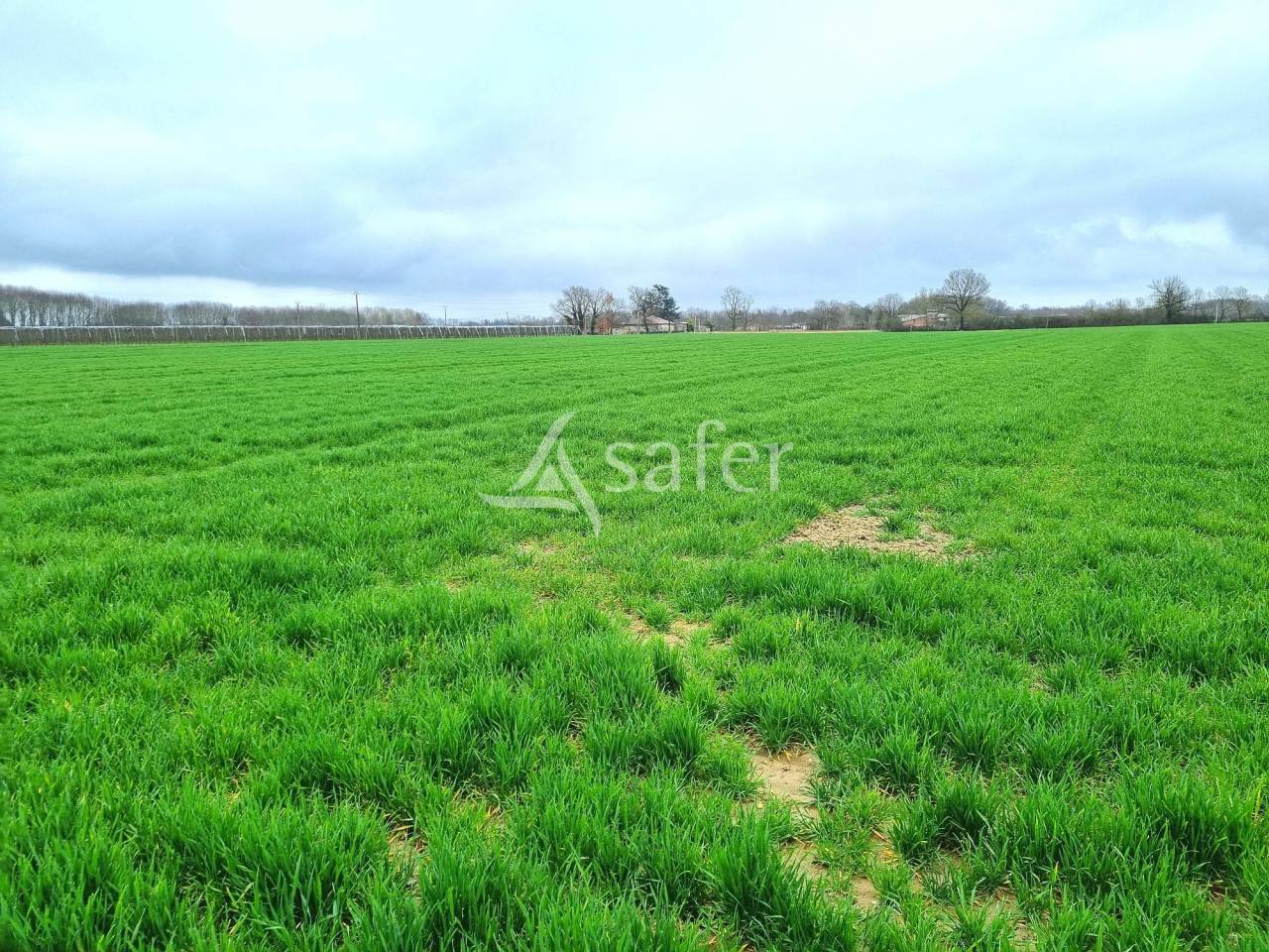 Azienda agricola In vendita Tarn-et-Garonne