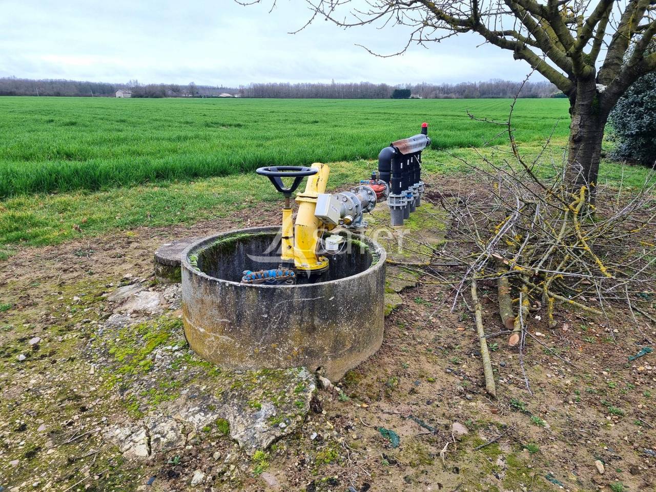 Azienda agricola In vendita Tarn-et-Garonne