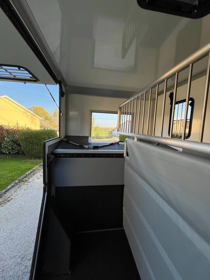 Van per Cavalli Altra marca NISSAN 0 Nuovo