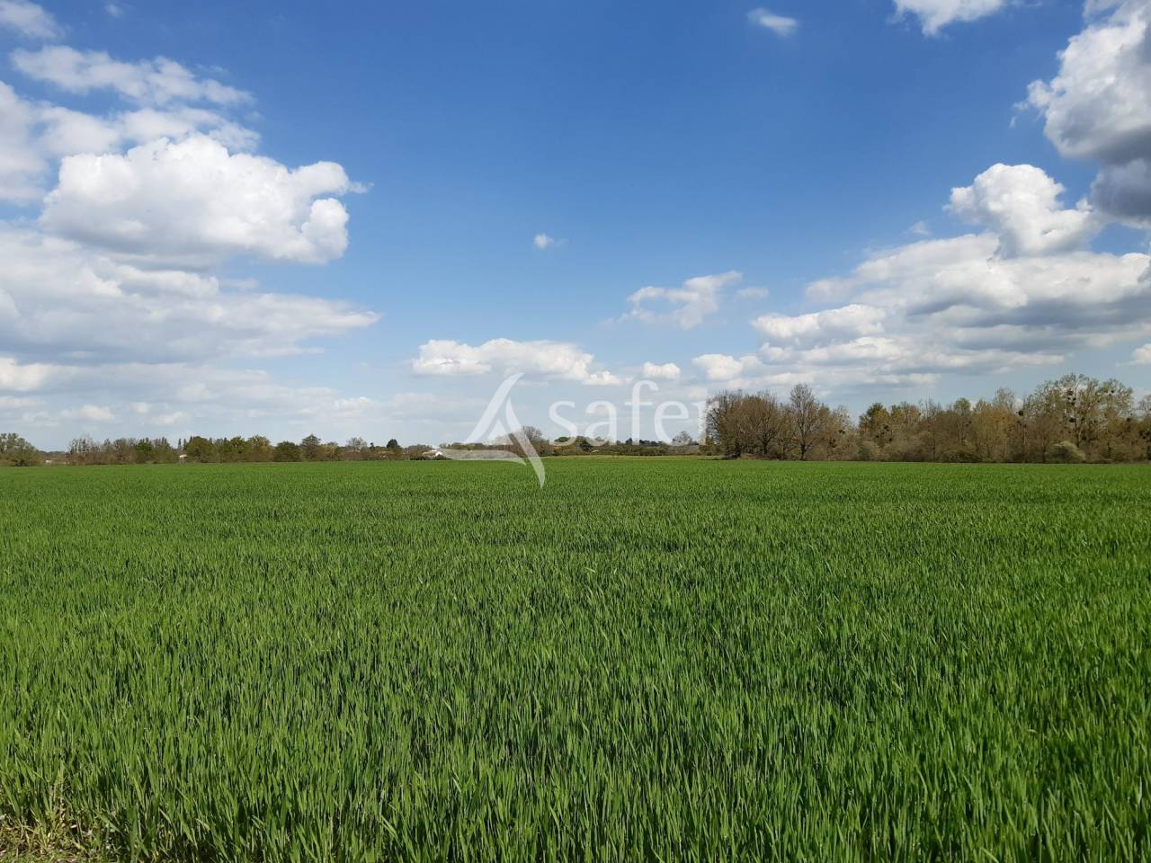 Azienda agricola In vendita Deux-Sèvres