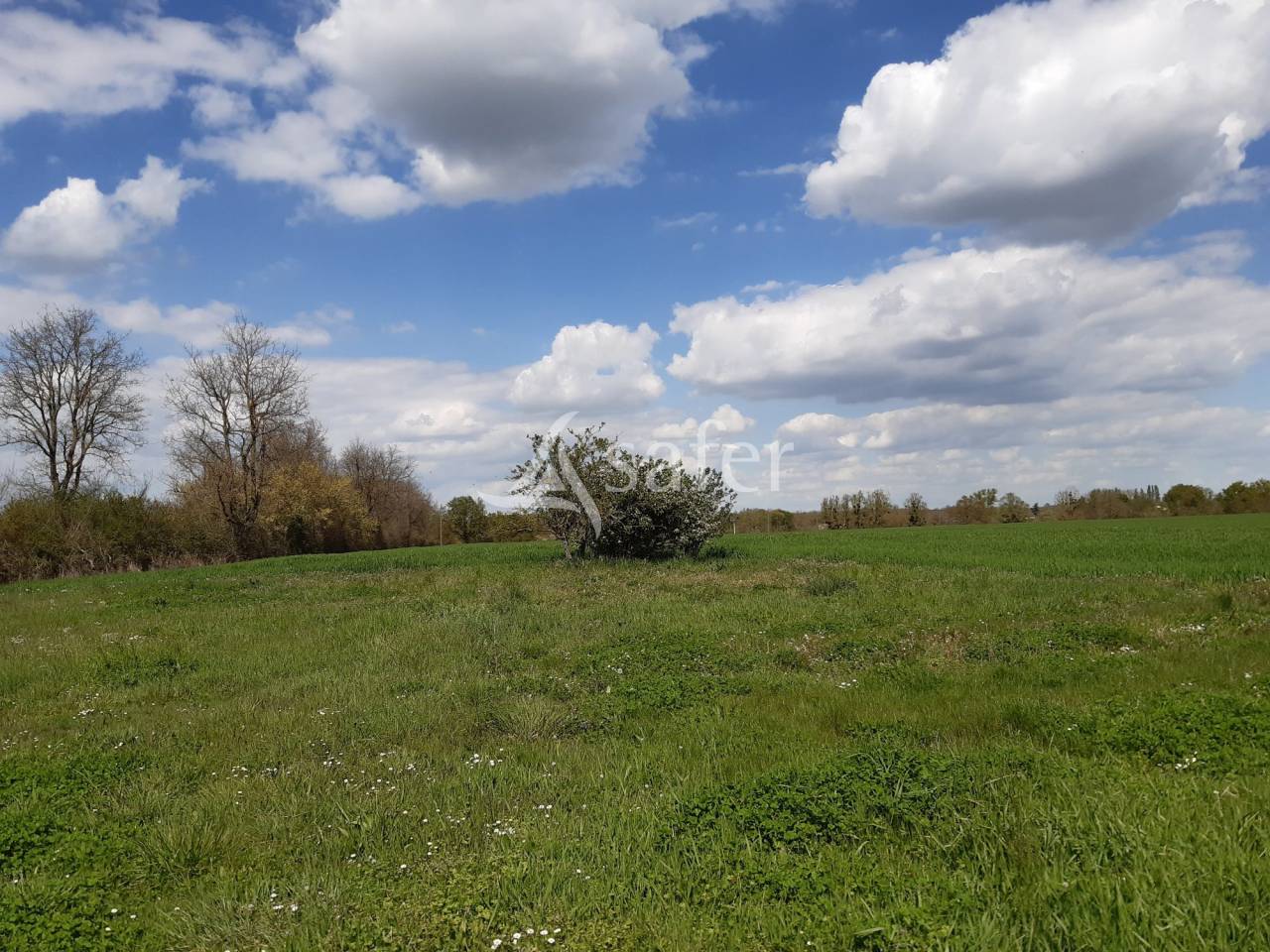 Azienda agricola In vendita Deux-Sèvres