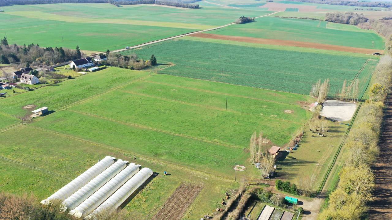 Scuderia per proprietari In vendita Yonne