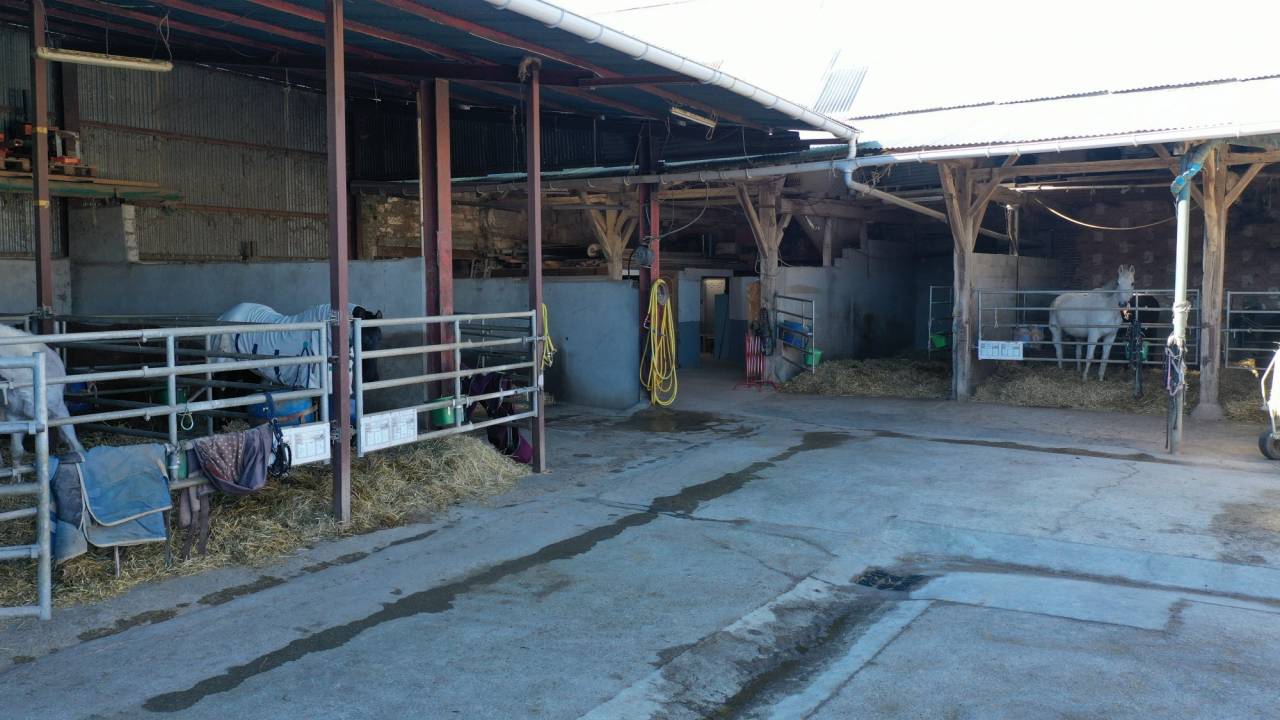 Scuderia per proprietari In vendita Yonne