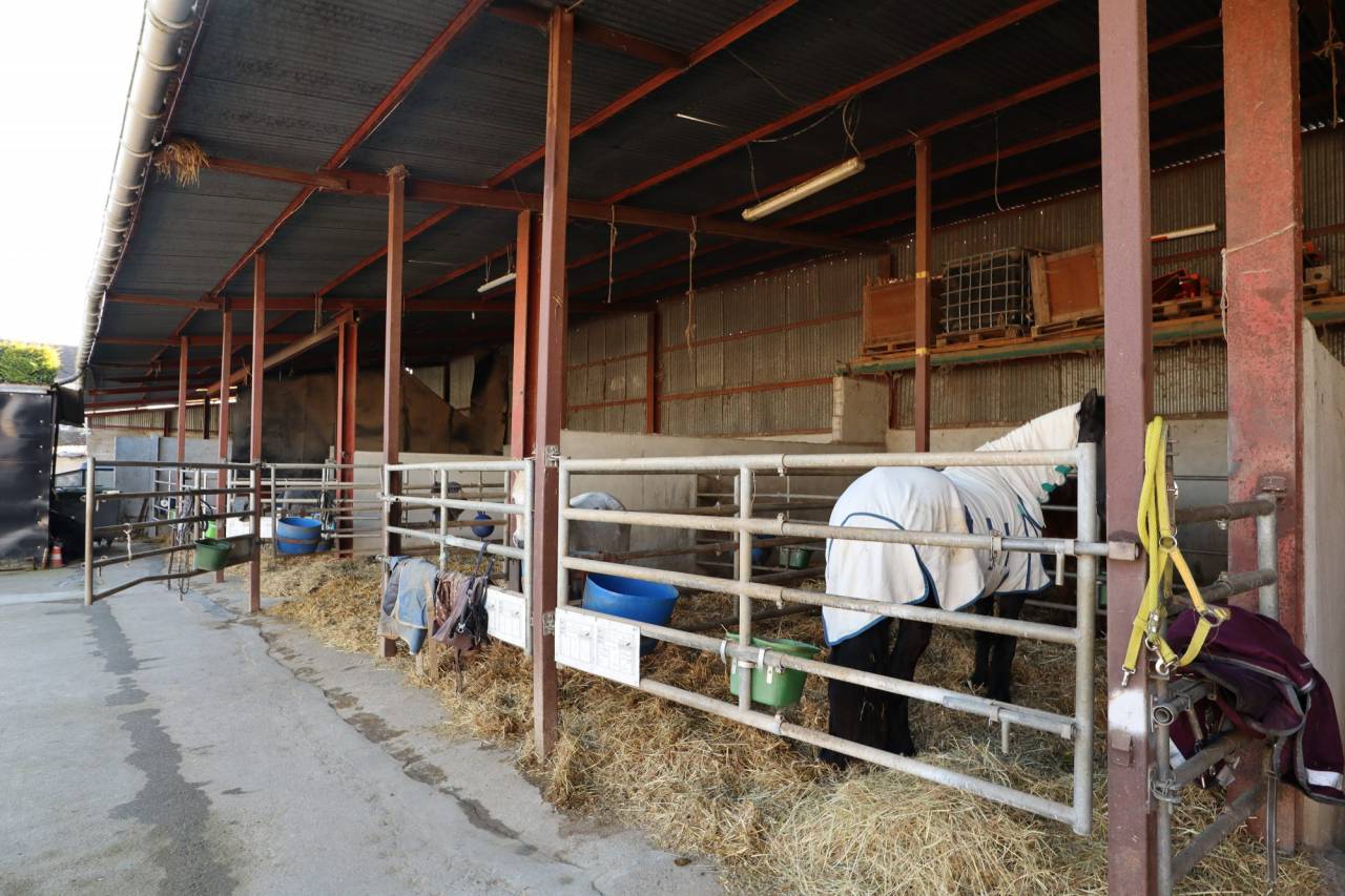 Scuderia per proprietari In vendita Yonne