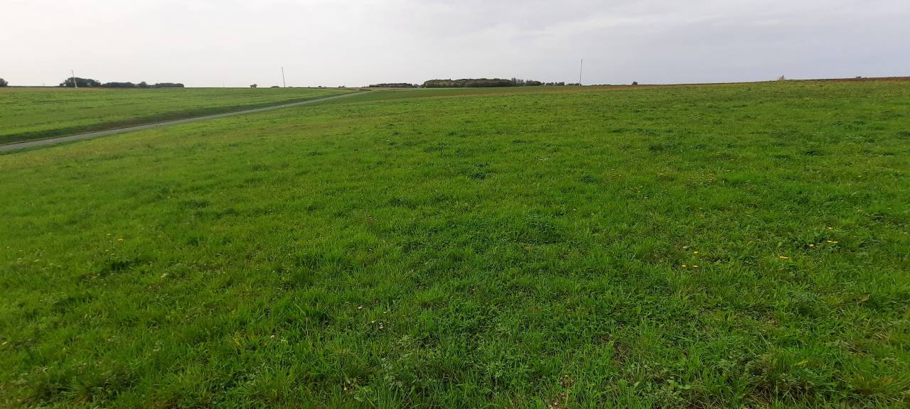 Proprietà equestre In vendita Vendée