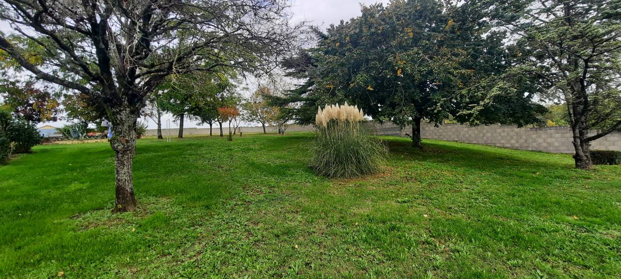 Proprietà equestre In vendita Vendée