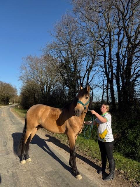 saymon  - PRE Andaluso 2021