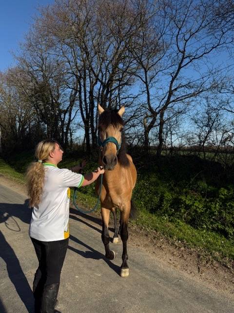 saymon  - PRE Andaluso 2021